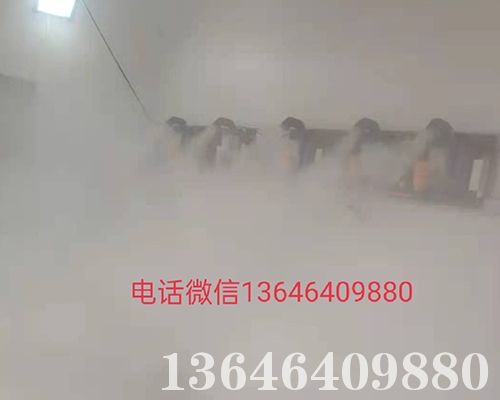 人员雾化消毒设备